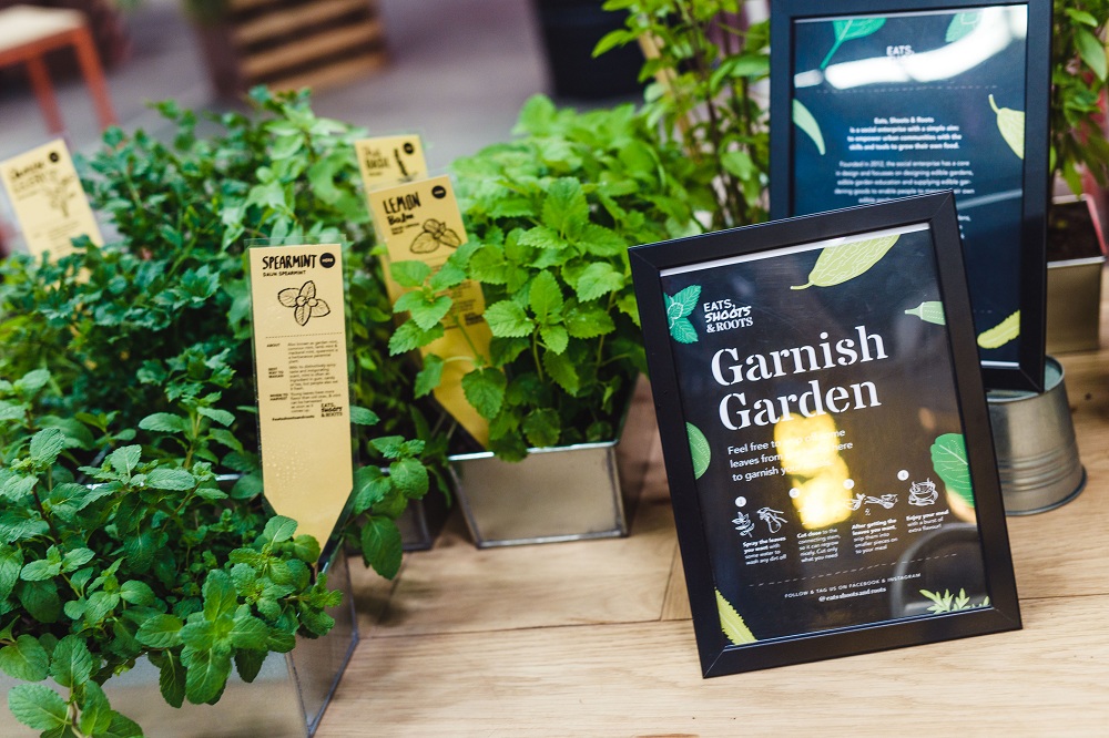 Tiffin Don't be afraid of the edible garden, it's healthy and environmental-friendly!